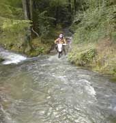 Off Road Trailbike